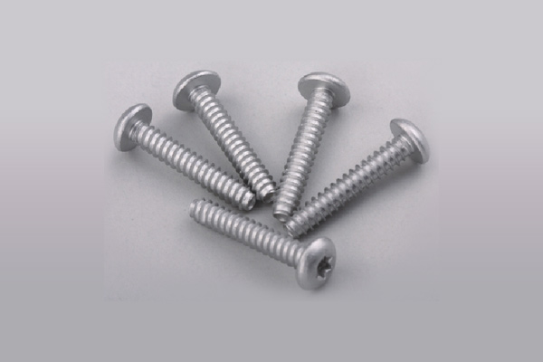 Internal Torx Pan Head Dacromet Screw